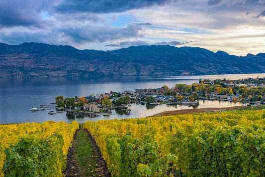 The Kelowna Wine Region