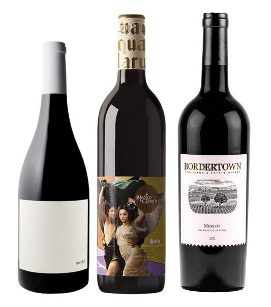 Discover Merlot Wine Pack