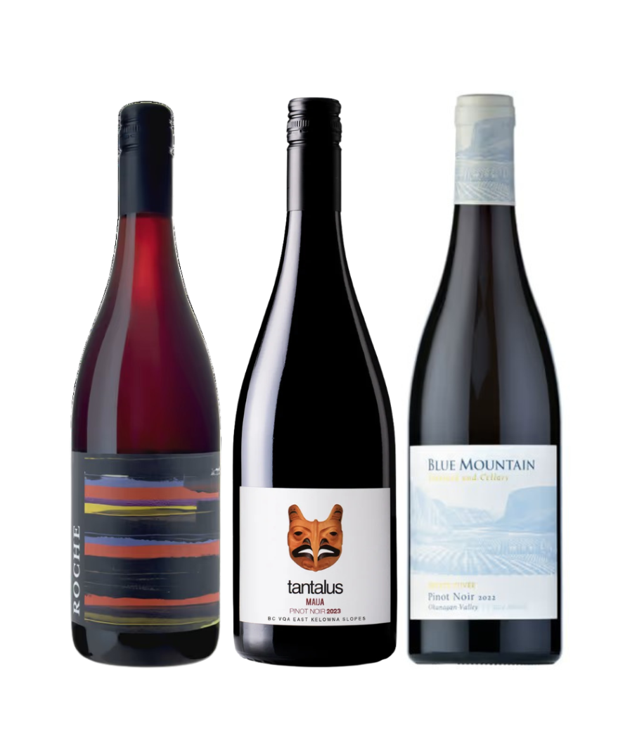 Discover Pinot Noir Wine Pack