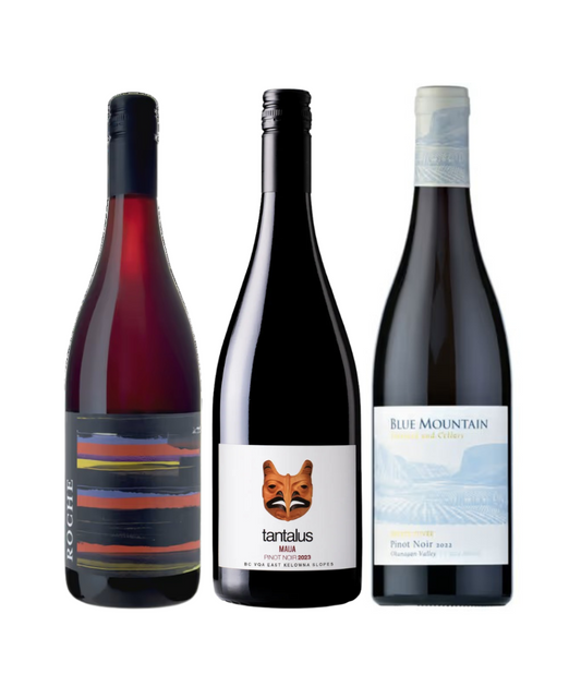 Discover Pinot Noir Wine Pack