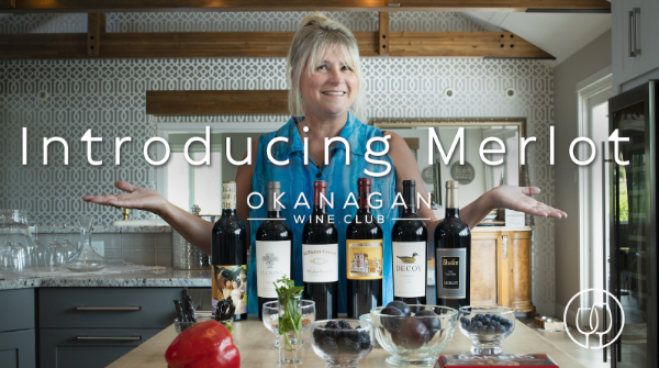 The Merlot & Chardonnay Exploration Bundle